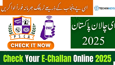 PSCA E-Challan Punjab 2025: How to Check & Pay Fines Instantly Online